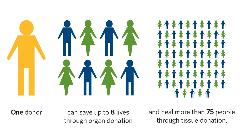 One Donor
